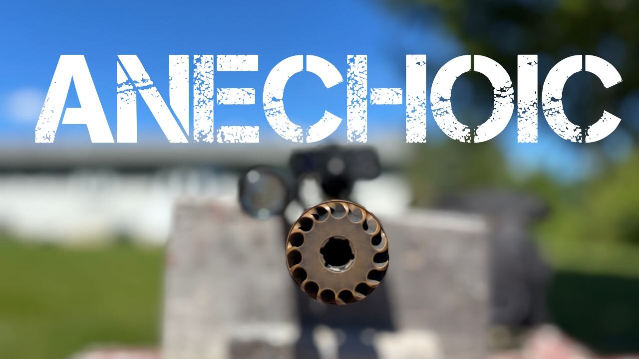 Who Is This Suppressor For? Anechoic 223 Review