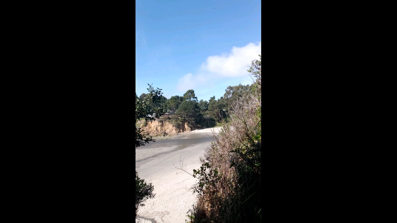 Short TrailTo Hare Creek Beach, Fort Bragg CA. part 1 April 5, 2025.