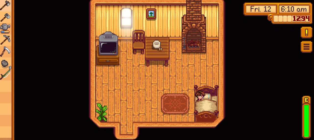 stardew valley