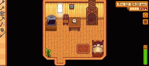 stardew valley