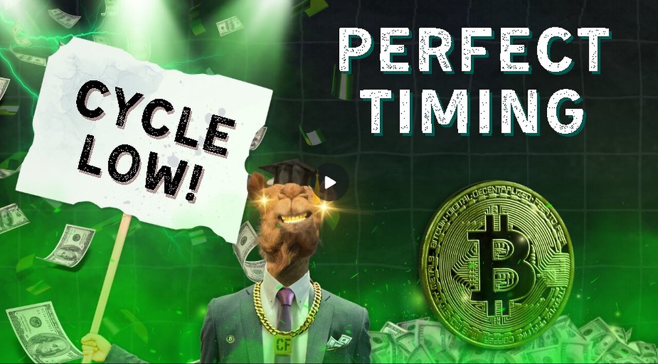 Big Picture: Bitcoin & Crypto Market