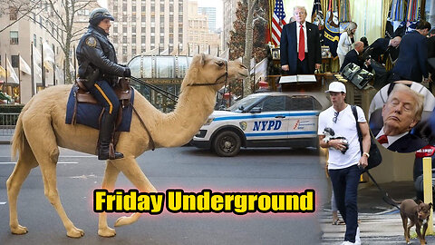 Friday Underground! RIP NYC, Tom Brady Cloned his Dog!? White House Clown Show.