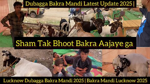 Dubagga Bakra Mandi Latest Update 2025 | Lucknow Dubagga Bakra Mandi 2025 | Bakra Mandi Lucknow 2025