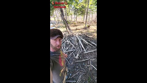 Beaver Lodge