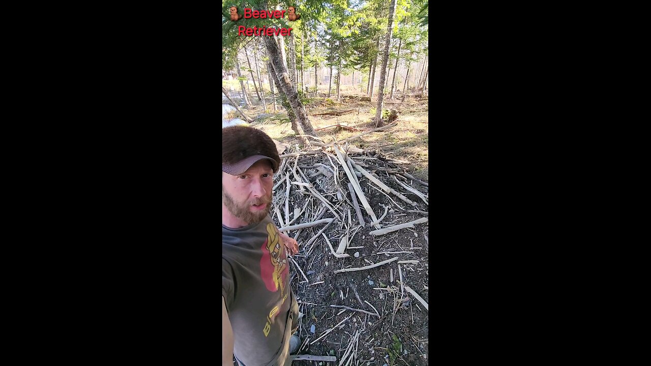Beaver Lodge