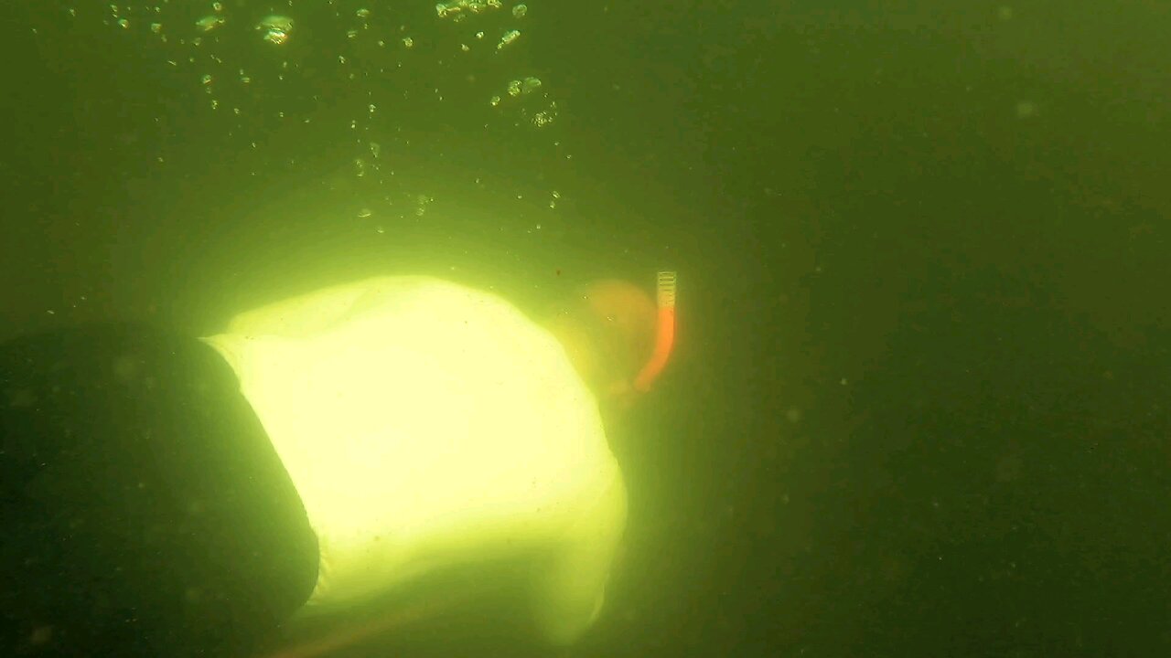 Freshwater Spearfishing with a Pole Spear visualizer