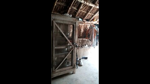 new viral video