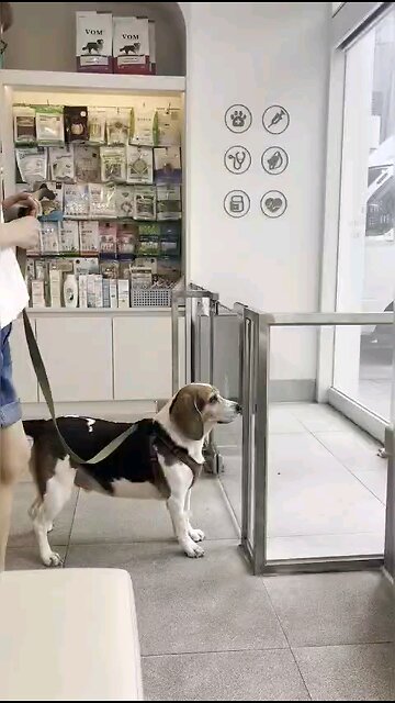 아빠차을 발견했을때.