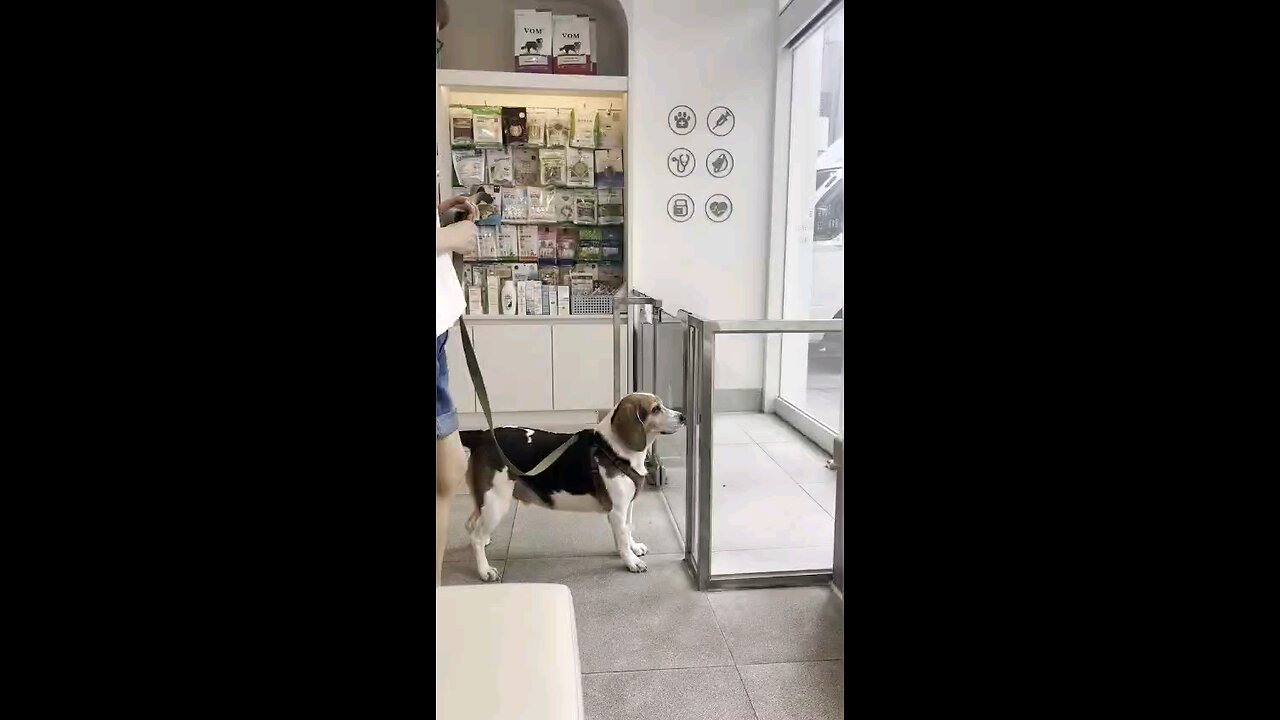 아빠차을 발견했을때.