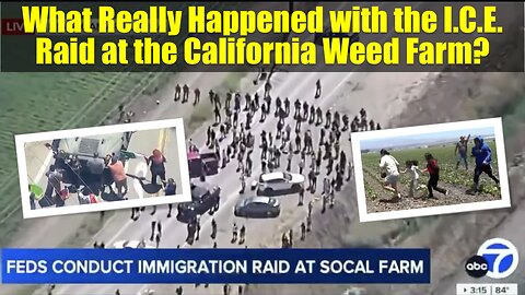 What Really Happened with the I.C.E. Raid at the California Weed Farm?