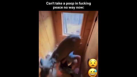 Can't take a poop in fucking peace no way now: