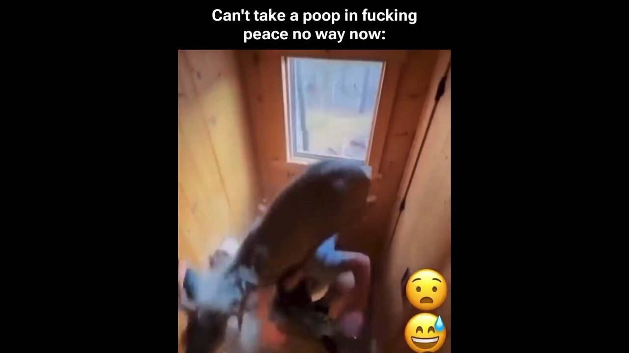 Can't take a poop in fucking peace no way now: