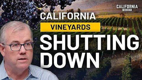 California’s Wine Industry Faces $20 Billion Loss