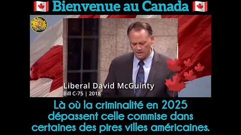 Bienvenue au Canada ravagé par la criminalité en 2025.