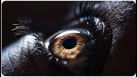 Must See and Share : Take A Good Hard Look Around - Death_Angel