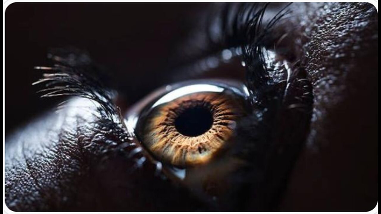 Must See and Share : Take A Good Hard Look Around - Death_Angel