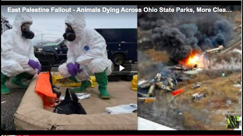 "East Palestine: Animal Deaths and Sickness Among Cleanup Workers"