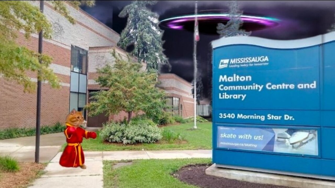 Lawyer's, Lies, and Lice | Ghouls and the Telltale Cat