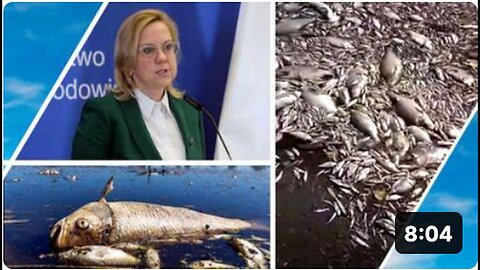 "Thousands of Fish Dead Due to River Poisoning in Poland"