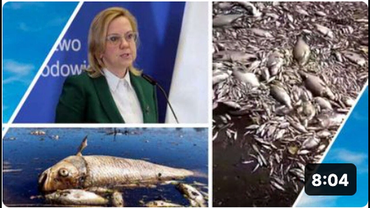 "Thousands of Fish Dead Due to River Poisoning in Poland"