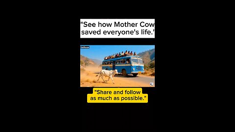"See how Mother Cow saved everyone's life."