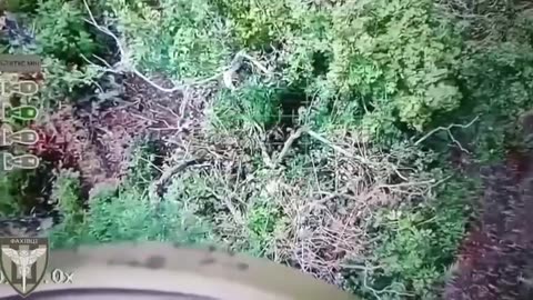 🦅🇺🇦💣 Ukrainian Vampire drone carried out a targeted ammunition drop on a Russian