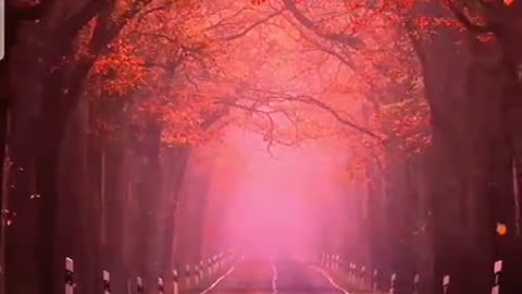 Jazakallah Subahanallah ♥️✨🕊️💯