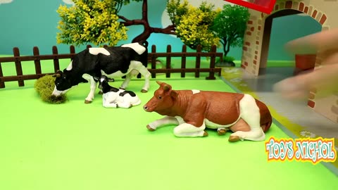 Chicken Coop on the Second Floor with High Staircase