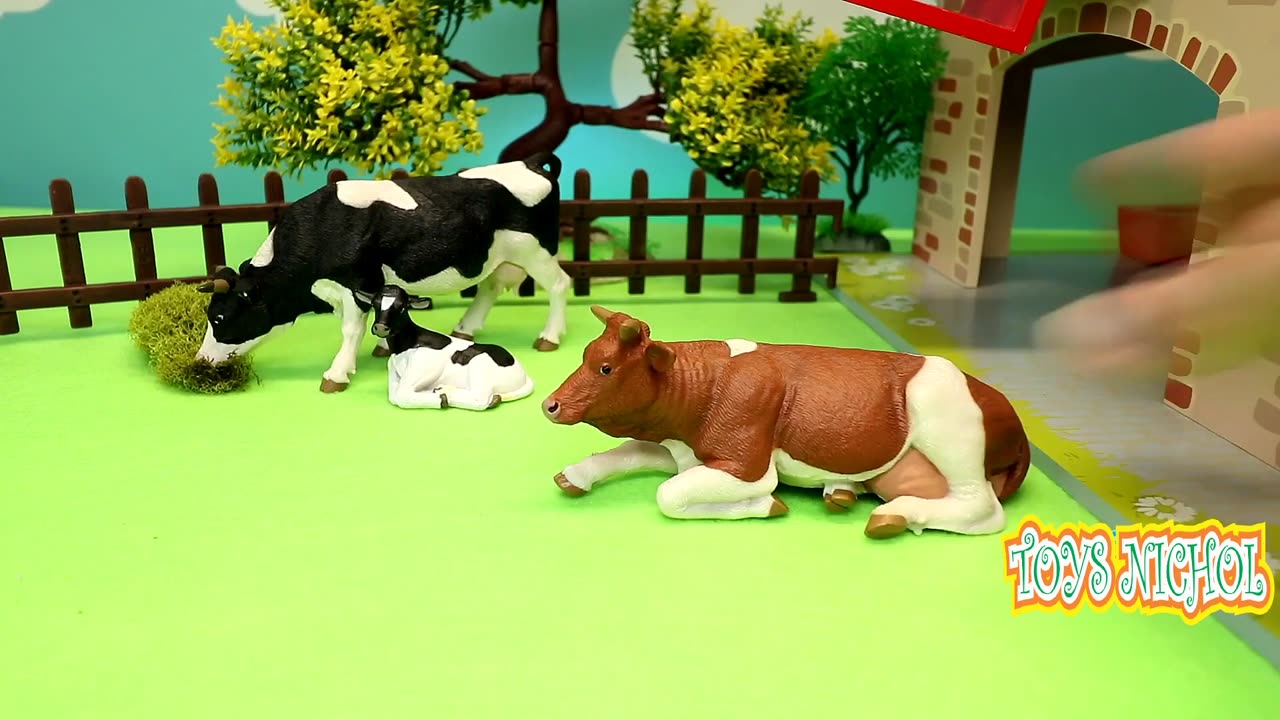 Chicken Coop on the Second Floor with High Staircase