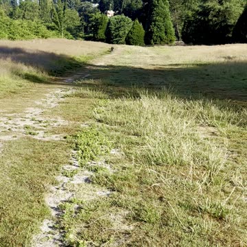 Yuma goes after the ball 3290842098