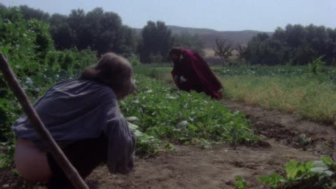 The.Traveller.1979 BluRay film