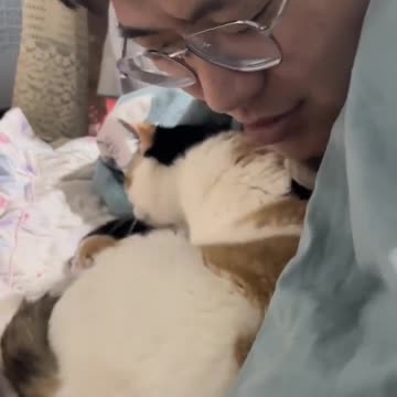 Cat introduces her babies to her human