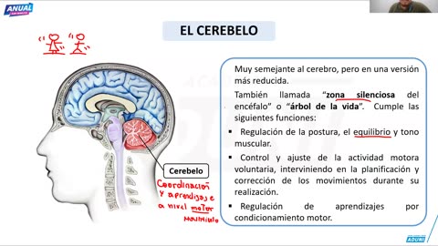 ANUAL ADUNI 2025 | Semana 05 | Psicología | Historia | Economía | Aritmética