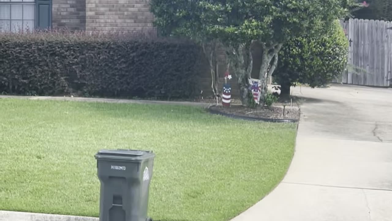 Looking at the garbage? Change your perspective!