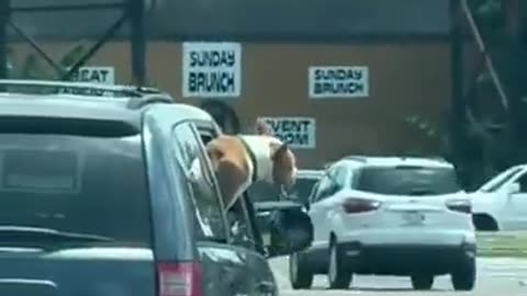 Stupid people mind your own business