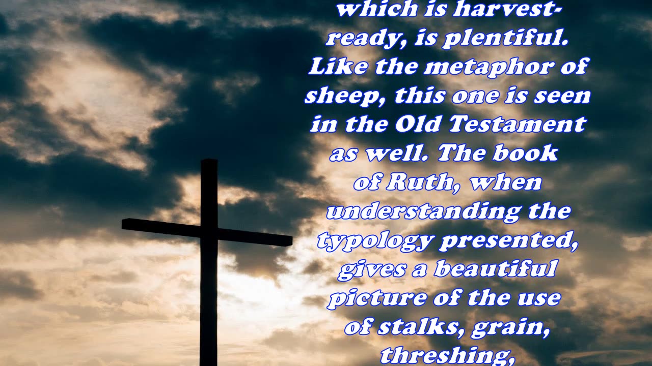 Matthew 9:37 - Daily Bible Verse Commentary