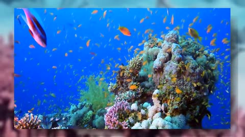 Part_06 The Ocean (4K UltraHD)- Relaxation Film - Peaceful Relaxing Music
