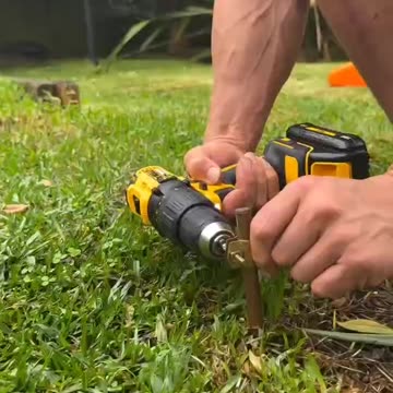 Your body isn’t just biological. It’s electrical first.