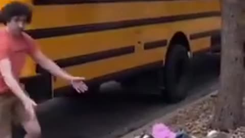 Apparently stopping a self driving Tesla is optional without the “school bus” software upgrade