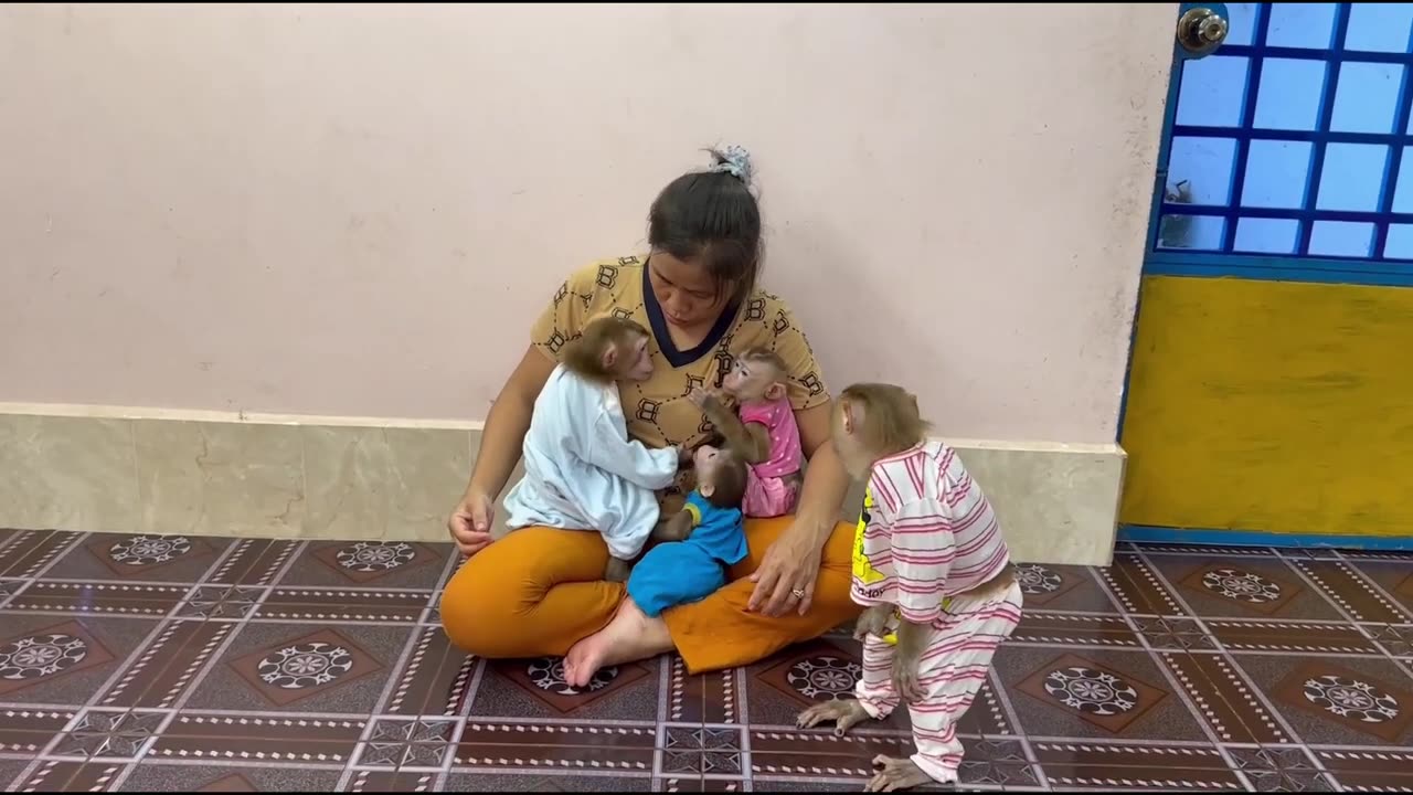 Sister Sovanny Cry Very Dramatic Sad While Brother Sovan Chasing Her ,