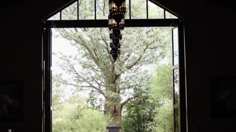 Palala Boutique Game Lodge in Limpopo, South Africa