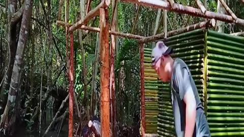 Camping in Heavy Rain Building a Shelter Over Water Deep in the Forest