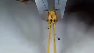 ⚠️🔥🔥⚠️ The government is watching you even if you live off the grid