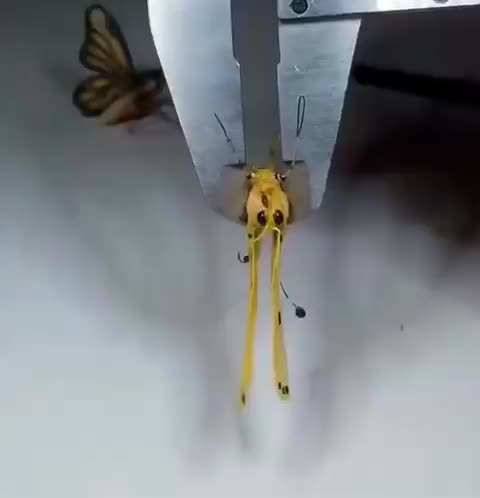 ⚠️🔥🔥⚠️ The government is watching you even if you live off the grid