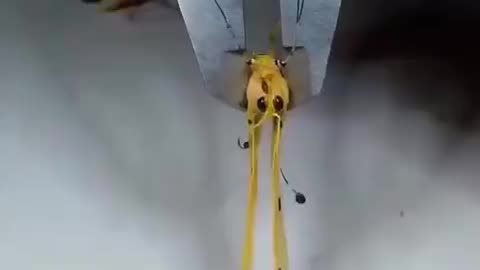 ⚠️🔥🔥⚠️ The government is watching you even if you live off the grid