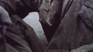 Russian Soldier Climbs Inside of a Well, Trying to Scrape Out Last Bit of Water