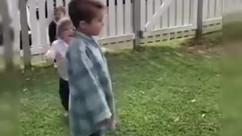Funny videos