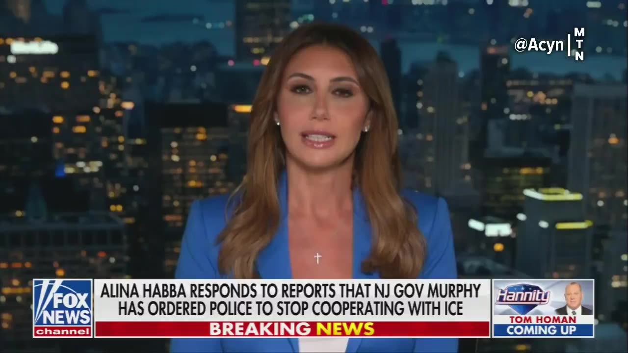 Alina Habba goes after New Jersey Governor Phil Murphy.