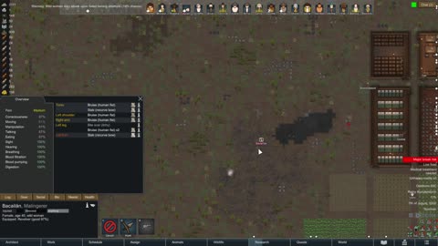 Which Kills More Of My Colonists Raids Or The Flu (Rimworld)