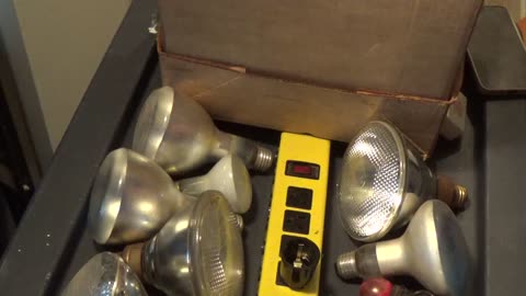 Mystery Damn its Part 2 light bulbs